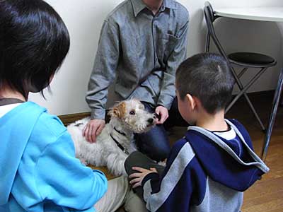 社会科レッスン